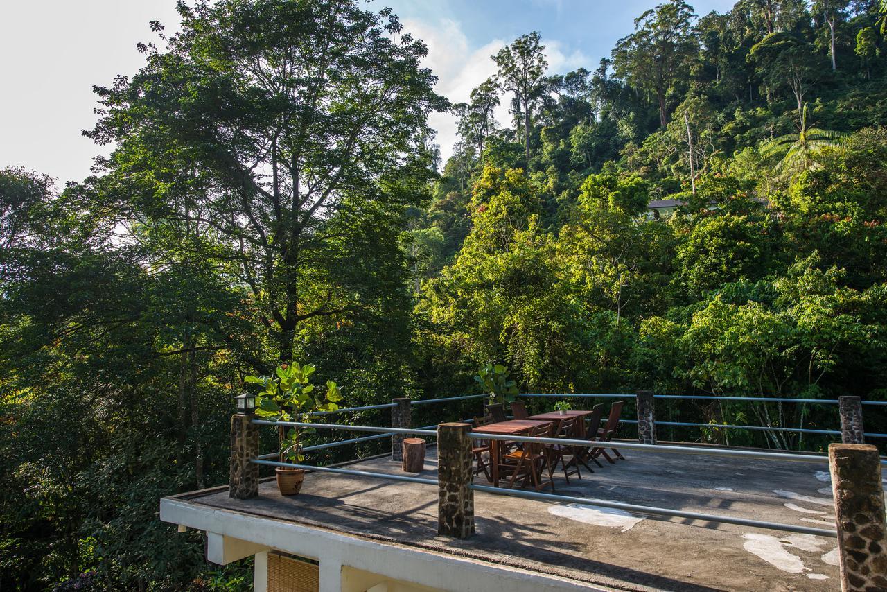 Rest Pause Rainforest Retreat Villa เบนตง ภายนอก รูปภาพ